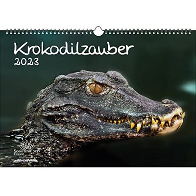 Seelenzauber Krokodilmagi DIN A3-kalender för 2023 krokodiler och alligatorer – själamagi Seelenzauber Krokodilmagi DIN A3-kalender för 2023 krokodiler och alligatorer – själamagi