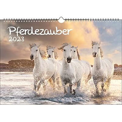 Seelenzauber Sjömagi hästmagi DIN A3-kalender för 2023 hästar och föl, flerfärgad, KN2023-3W-0014-D-0 Seelenzauber Sjömagi hästmagi DIN A3-kalender för 2023 hästar och föl, flerfärgad, KN2023-3W-0014-D-0