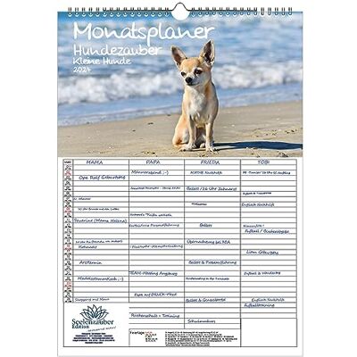 Seelenzauber Hundmagi små hundar väggplanerare familjeplanerare 4 kolumnplanerare A3-kalender för 2024 valpar och små hundar – själsmagi Seelenzauber Hundmagi små hundar väggplanerare familjeplanerare 4 kolumnplanerare A3-kalender för 2024 valpar och små hundar – själsmagi