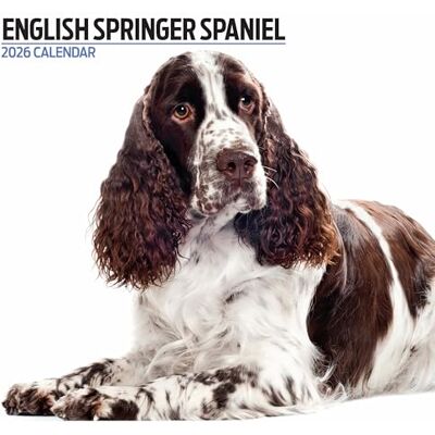 Magnet & Steel English Springer Spaniel 2026 Modern kalender Magnet & Steel English Springer Spaniel 2026 Modern kalender