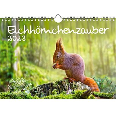 Seelenzauber Ekorrmagi DIN A4-kalender för 2023 ekorre – sinnesmagi, flerfärgad, KN2023-4W-0003-D-0 Seelenzauber Ekorrmagi DIN A4-kalender för 2023 ekorre – sinnesmagi, flerfärgad, KN2023-4W-0003-D-0