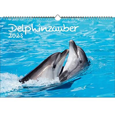 Seelenzauber Delfinmagi DIN A3-kalender för 2023 Delfin Delfin – själsmagi Seelenzauber Delfinmagi DIN A3-kalender för 2023 Delfin Delfin – själsmagi