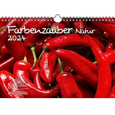 Seelenzauber Färgmagi natur DIN A4-kalender för 2024 färger färger – själsmagi Seelenzauber Färgmagi natur DIN A4-kalender för 2024 färger färger – själsmagi
