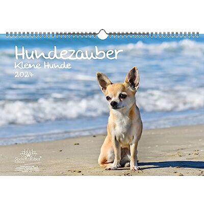 Seelenzauber Hundmagi små hundar DIN A3 kalender för 2024 valpar och små hundar – själsmagi Seelenzauber Hundmagi små hundar DIN A3 kalender för 2024 valpar och små hundar – själsmagi