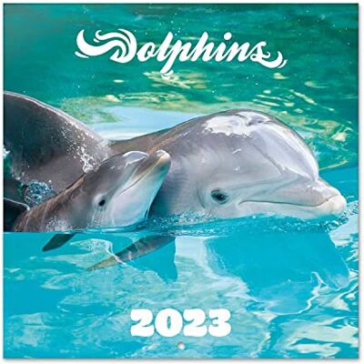 Grupo Erik Dolphins Väggkalender 2023 30 x 30 cm FSC 12 månaders planerare Fyrkantig väggkalender 2023 Familjeplaneringskalender 2023 Delfinkalender 2023 + 4 bonusmånader Grupo Erik Dolphins Väggkalender 2023 30 x 30 cm FSC 12 månaders planerare Fyrkantig väggkalender 2023 Familjeplaneringskalender 2023 Delfinkalender 2023 + 4 bonusmånader