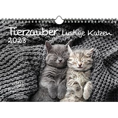 Seelenzauber Djurmagi roliga katter DIN A4-kalender för 2023 roliga stunder med katter – själsmagi, flerfärgad, KN2023-4W-0046-D-0 Seelenzauber Djurmagi roliga katter DIN A4-kalender för 2023 roliga stunder med katter – själsmagi, flerfärgad, KN2023-4W-0046-D-0