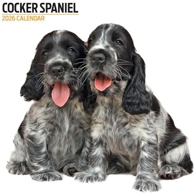 Magnet & Steel Cocker Spaniel 2026 Modern kalender Magnet & Steel Cocker Spaniel 2026 Modern kalender
