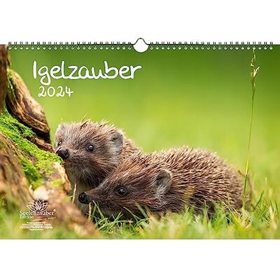 Seelenzauber Igelkott magi DIN A3 kalender för 2024 igelkott – själsmagi Seelenzauber Igelkott magi DIN A3 kalender för 2024 igelkott – själsmagi
