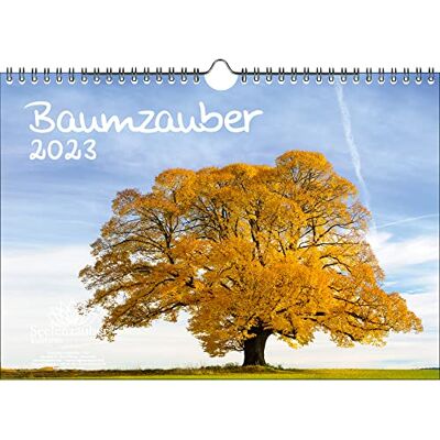 Seelenzauber Trädmagi DIN A4-kalender för 2023 träd, träd och skog – sjömagi Seelenzauber Trädmagi DIN A4-kalender för 2023 träd, träd och skog – sjömagi