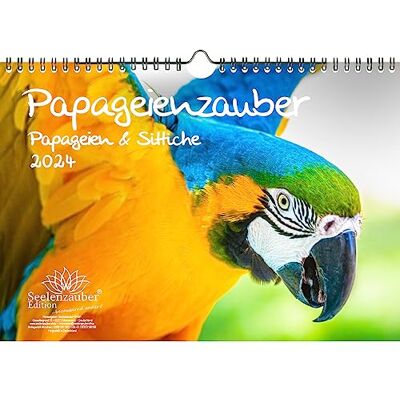 Seelenzauber Papegoja magi papegoja och parakiter DIN A4 kalender för 2024 – sjömagi Seelenzauber Papegoja magi papegoja och parakiter DIN A4 kalender för 2024 – sjömagi