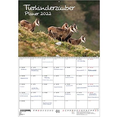 Seelenzauber Animal Child Magic Planner Din A2 Utfälld Kalender För 2022 Djurbabyar Och Djurbarn Soulmagi Seelenzauber Animal Child Magic Planner Din A2 Utfälld Kalender För 2022 Djurbabyar Och Djurbarn Soulmagi