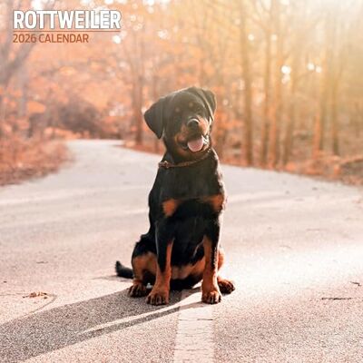 Magnet & Steel Rottweiler 2026 traditionell kalender Magnet & Steel Rottweiler 2026 traditionell kalender