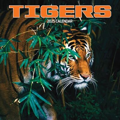 Magnet & Steel Tiger 2025 Kalender Magnet & Steel Tiger 2025 Kalender