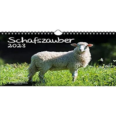 Seelenzauber Fårmagi DIN A4-kalender för 2023 får och lamm – själsmagi Seelenzauber Fårmagi DIN A4-kalender för 2023 får och lamm – själsmagi