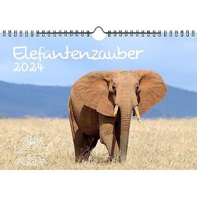 Seelenzauber Elefantmagi DIN A4-kalender för 2024 elefanter – själsmagi Seelenzauber Elefantmagi DIN A4-kalender för 2024 elefanter – själsmagi