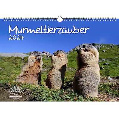 Seelenzauber Murmeldjurmagi DIN A3-kalender för 2024 murmeldjur – själsmagi Seelenzauber Murmeldjurmagi DIN A3-kalender för 2024 murmeldjur – själsmagi