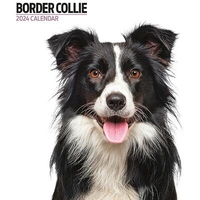 Magnet & Steel Border Collie Modern 2024 Kalender Magnet & Steel Border Collie Modern 2024 Kalender