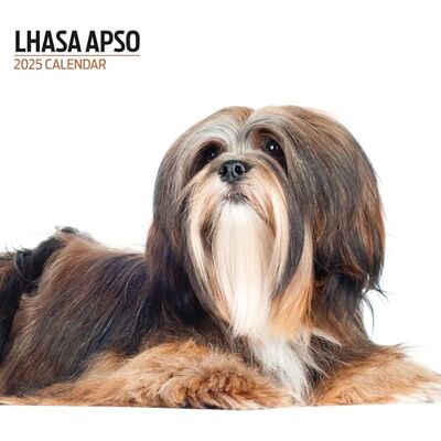 Magnet & Steel Lhasa Apso 2025 Modern kalender Magnet & Steel Lhasa Apso 2025 Modern kalender