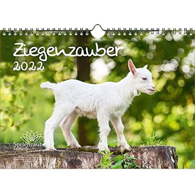 Seelenzauber Get Magic Din A4 Kalender För 2022 Getter Och Barn Soulmagi Seelenzauber Get Magic Din A4 Kalender För 2022 Getter Och Barn Soulmagi