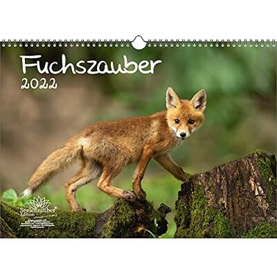 Seelenzauber Fox Magic Din A3 Kalender För 2022 Fox And Foxes Soul Magic Seelenzauber Fox Magic Din A3 Kalender För 2022 Fox And Foxes Soul Magic