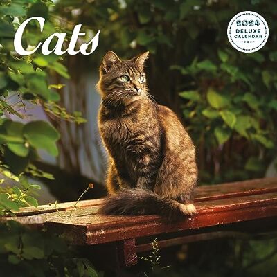 Magnet & Steel Cat Deluxe 2024-kalender Magnet & Steel Cat Deluxe 2024-kalender
