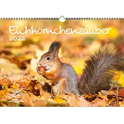 Seelenzauber Ekorre Magisk Din A3 Kalender För 2022 Ekorr Soulmagi Seelenzauber Ekorre Magisk Din A3 Kalender För 2022 Ekorr Soulmagi