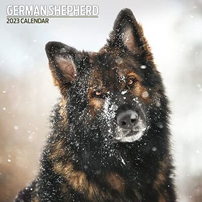 Magnet & Steel Shepherd 2023 traditionell kalender, flerfärgad Magnet & Steel Shepherd 2023 traditionell kalender, flerfärgad