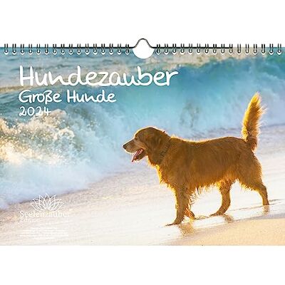 Seelenzauber Hundmagi stora hundar DIN A4 kalender för 2024 valpar och hundar – själsmagi Seelenzauber Hundmagi stora hundar DIN A4 kalender för 2024 valpar och hundar – själsmagi