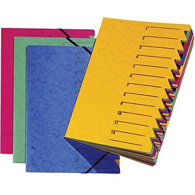 Pagna enkel organisationsmapp (samlarmapp, 12 fack, 1–12) blå, 1 st Pagna enkel organisationsmapp (samlarmapp, 12 fack, 1–12) blå, 1 st