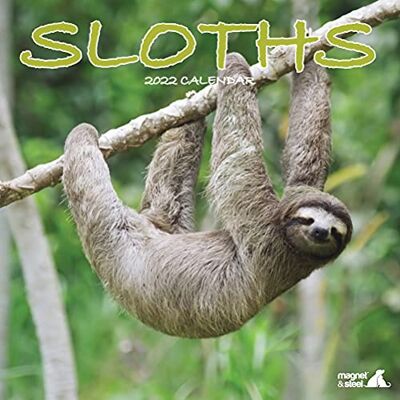 Magnet & Steel Sloths 2022 kalender Magnet & Steel Sloths 2022 kalender