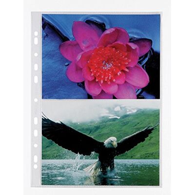 Elba Favorit 100460152 fotoskydd, 21 x 15 cm, 10-pack Elba Favorit 100460152 fotoskydd, 21 x 15 cm, 10-pack