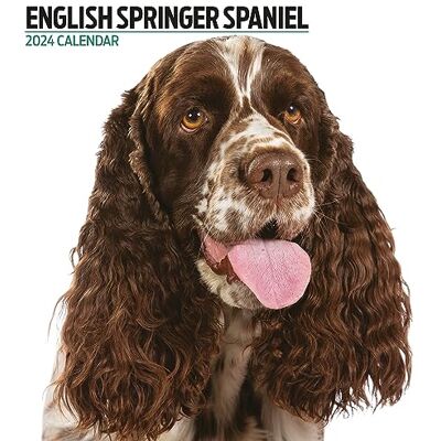 Magnet & Steel Engelsk Springer Spaniel Modern 2024 Kalender Magnet & Steel Engelsk Springer Spaniel Modern 2024 Kalender