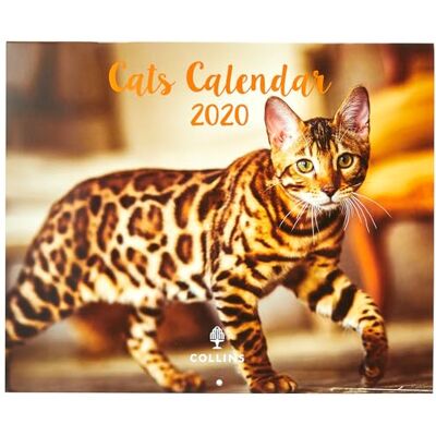 Collins Cats kalender 2020 Collins Cats kalender 2020