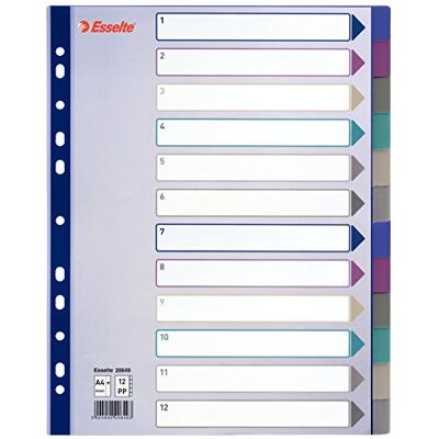 Leitz Esselte indexerade avdelare maxiformat polypropylen set med 12 flikar blandade färger genomskinliga Leitz Esselte indexerade avdelare maxiformat polypropylen set med 12 flikar blandade färger genomskinliga