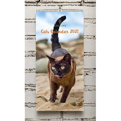 Collins Kattkalender 2021 Collins Kattkalender 2021