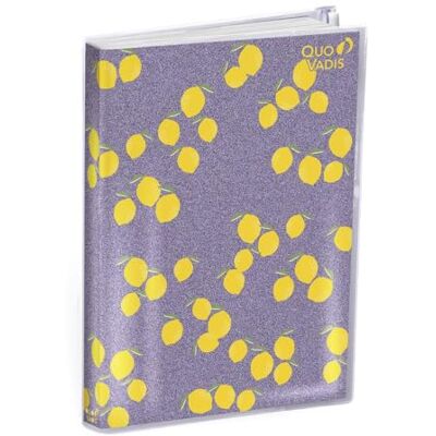 QUO VADIS Min universella dagbok med ficka med dragkedja skoldagbok 10 x 15 cm citron år 2023-2024 QUO VADIS Min universella dagbok med ficka med dragkedja skoldagbok 10 x 15 cm citron år 2023-2024