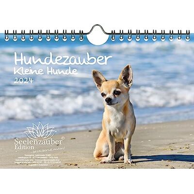 Seelenzauber Hundmagi små hundar DIN A5 väggkalender för 2024 valpar och små hundar – själsmagi Seelenzauber Hundmagi små hundar DIN A5 väggkalender för 2024 valpar och små hundar – själsmagi
