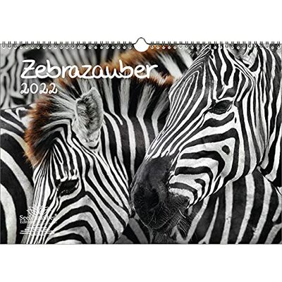 Seelenzauber Zebra Magic Din A3 Kalender För 2022 Zebra Soulmagi Seelenzauber Zebra Magic Din A3 Kalender För 2022 Zebra Soulmagi
