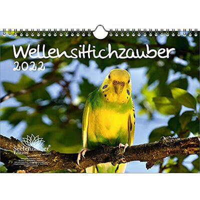 Seelenzauber Budgie Magic Din A4 Kalender För 2022 Budgies Soul Magic Seelenzauber Budgie Magic Din A4 Kalender För 2022 Budgies Soul Magic