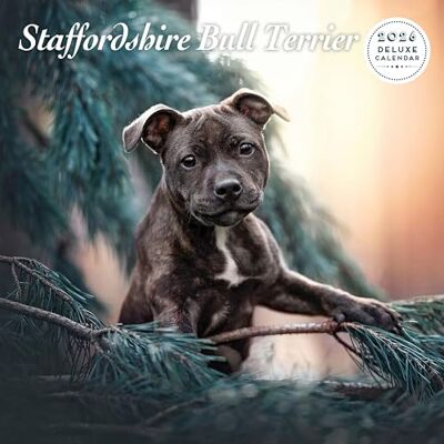 Magnet & Steel Staffordshire Bull Terrier 2026 Deluxe Kalender Magnet & Steel Staffordshire Bull Terrier 2026 Deluxe Kalender