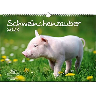 Seelenzauber Svinmagi DIN A3-kalender för 2023 grisar – själmagi, flerfärgad, KN2023-3W-0049-D-0 Seelenzauber Svinmagi DIN A3-kalender för 2023 grisar – själmagi, flerfärgad, KN2023-3W-0049-D-0