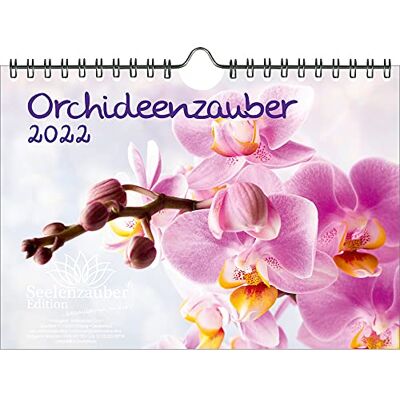 Seelenzauber Orkidémagi Din A5 Sårkalender För 2022 Orkidéer Och Blommor Själsmagi Seelenzauber Orkidémagi Din A5 Sårkalender För 2022 Orkidéer Och Blommor Själsmagi