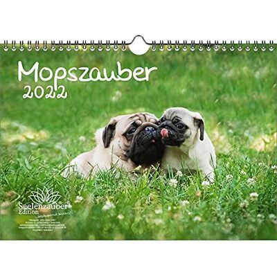 Seelenzauber Mopsmagi Din A4 -Kalender För 2022 Mopshundar Och Valpar Själsmagi Seelenzauber Mopsmagi Din A4 -Kalender För 2022 Mopshundar Och Valpar Själsmagi