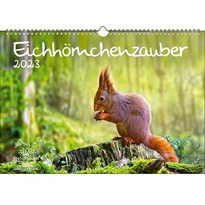 Seelenzauber Ekorrmagi DIN A3-kalender för 2023 ekorre – sinnesmagi, flerfärgad, KN2023-3W-0003-D-0 Seelenzauber Ekorrmagi DIN A3-kalender för 2023 ekorre – sinnesmagi, flerfärgad, KN2023-3W-0003-D-0