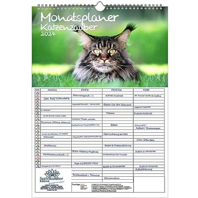 Seelenzauber Kattmagi, väggplanerare, familjeplanerare, 4 kolumnplanerare, A3-kalender för 2024, katter och kattbebisar – själsmagi Seelenzauber Kattmagi, väggplanerare, familjeplanerare, 4 kolumnplanerare, A3-kalender för 2024, katter och kattbebisar – själsmagi