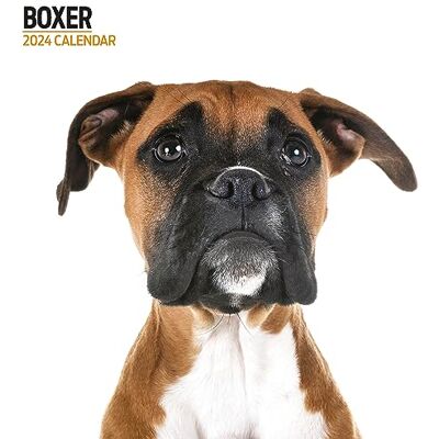 Magnet & Steel Boxer Modern 2024 Kalender Magnet & Steel Boxer Modern 2024 Kalender