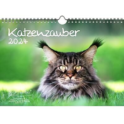 Seelenzauber Kattmagi DIN A4-kalender för 2024 katter och kattbebisar – själsmagi Seelenzauber Kattmagi DIN A4-kalender för 2024 katter och kattbebisar – själsmagi