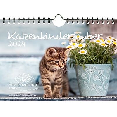 Seelenzauber Kattbarnmagi DIN A5 väggkalender för 2024 kattbarn kattbebisar – själamagi Seelenzauber Kattbarnmagi DIN A5 väggkalender för 2024 kattbarn kattbebisar – själamagi