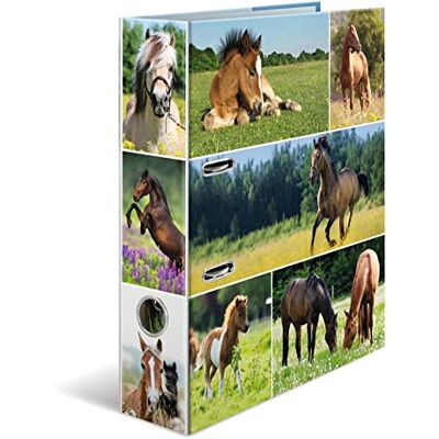 HERMA Mapp A4 hästset, 10 stycken, 7 cm bred, ringpärm för barn med djurmotiv, färgglad mapp med innertryck för pojkar och flickor HERMA Mapp A4 hästset, 10 stycken, 7 cm bred, ringpärm för barn med djurmotiv, färgglad mapp med innertryck för pojkar och flickor