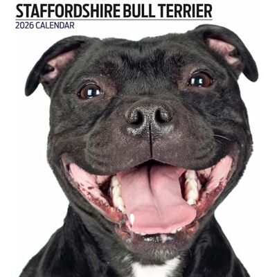 Magnet & Steel Staffordshire Bull Terrier 2026 modern kalender Magnet & Steel Staffordshire Bull Terrier 2026 modern kalender